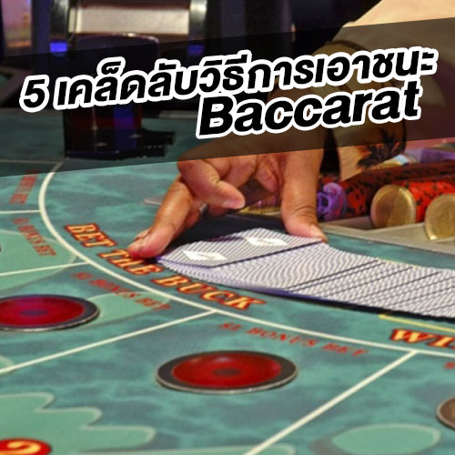 5 เคล็ดลับวิธีการเอาชนะบาคาร่า