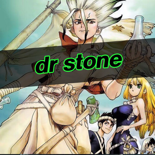 dr stone