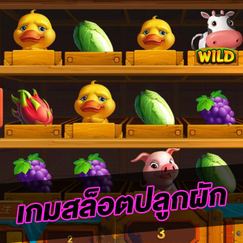 เกมปลูกผัก