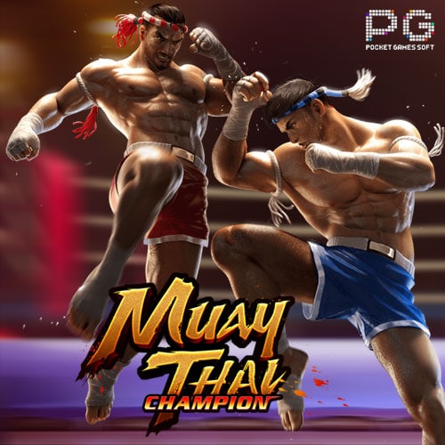 Muay Thai Champion